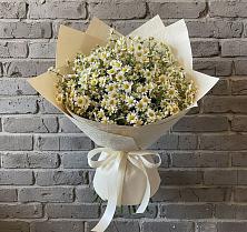 Букет цветов из:  Ромашки #REPLACE_PRED# Никитское