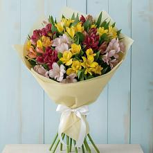 Букет цветов из:  Альстромерии #REPLACE_PRED# Никитское