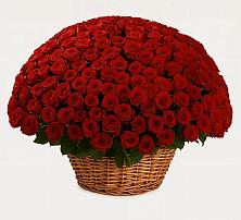 Премиум букет из: Розы в Никитское