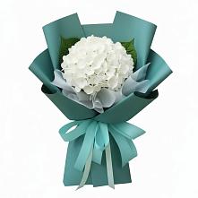 Букет цветов из:  Гортензия #REPLACE_PRED# Никитское